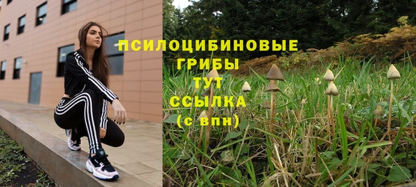 амф Бугульма