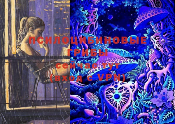 амф Бугульма