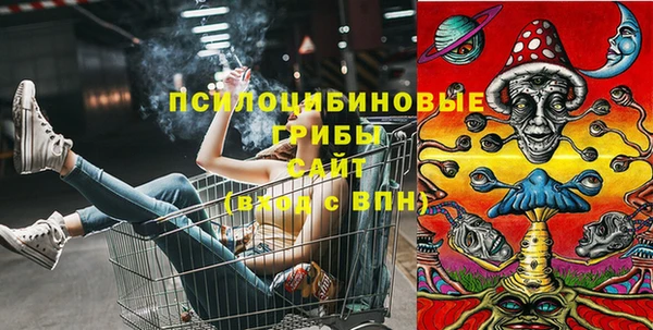 гидропоника Бронницы