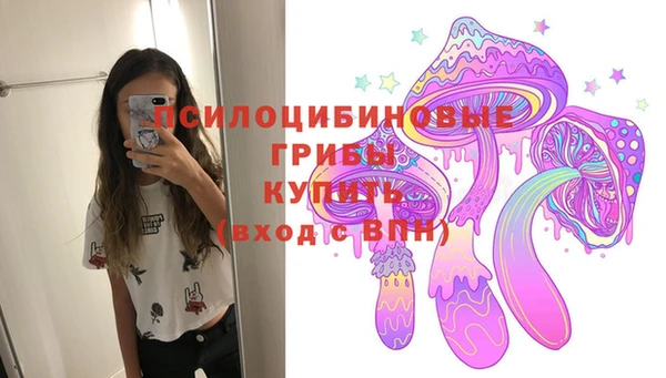 амф Бугульма