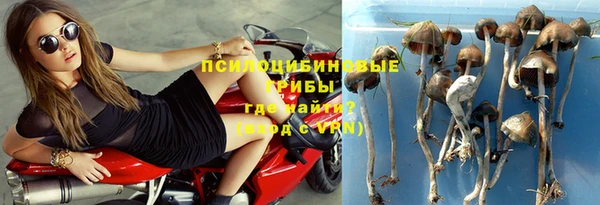 дурь Мегион