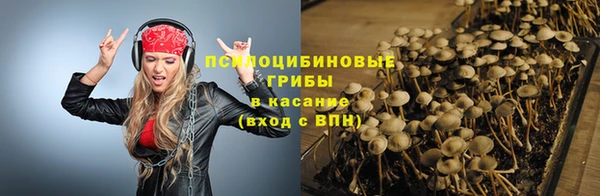 амф Бугульма