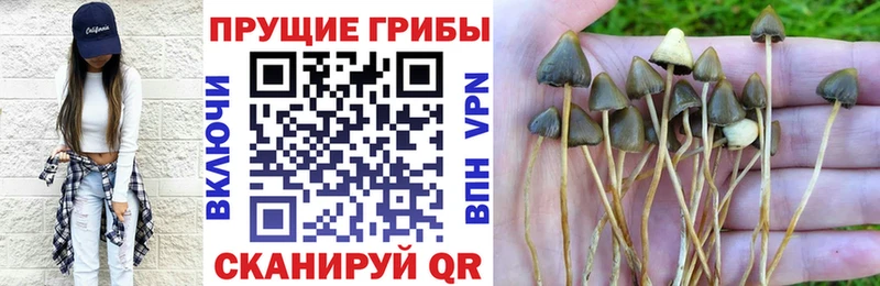 Галлюциногенные грибы мухоморы kraken вход Давлеканово